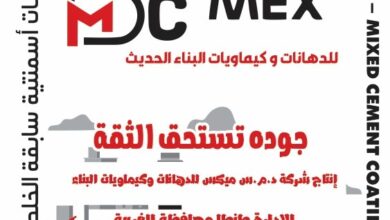 شركة دي ام سي ميكس DMcmex