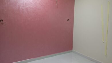 صنايعي نقاش